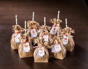 Witches Broom treat bags